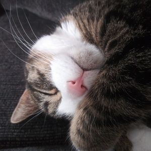 Meet your Posher, Raquel